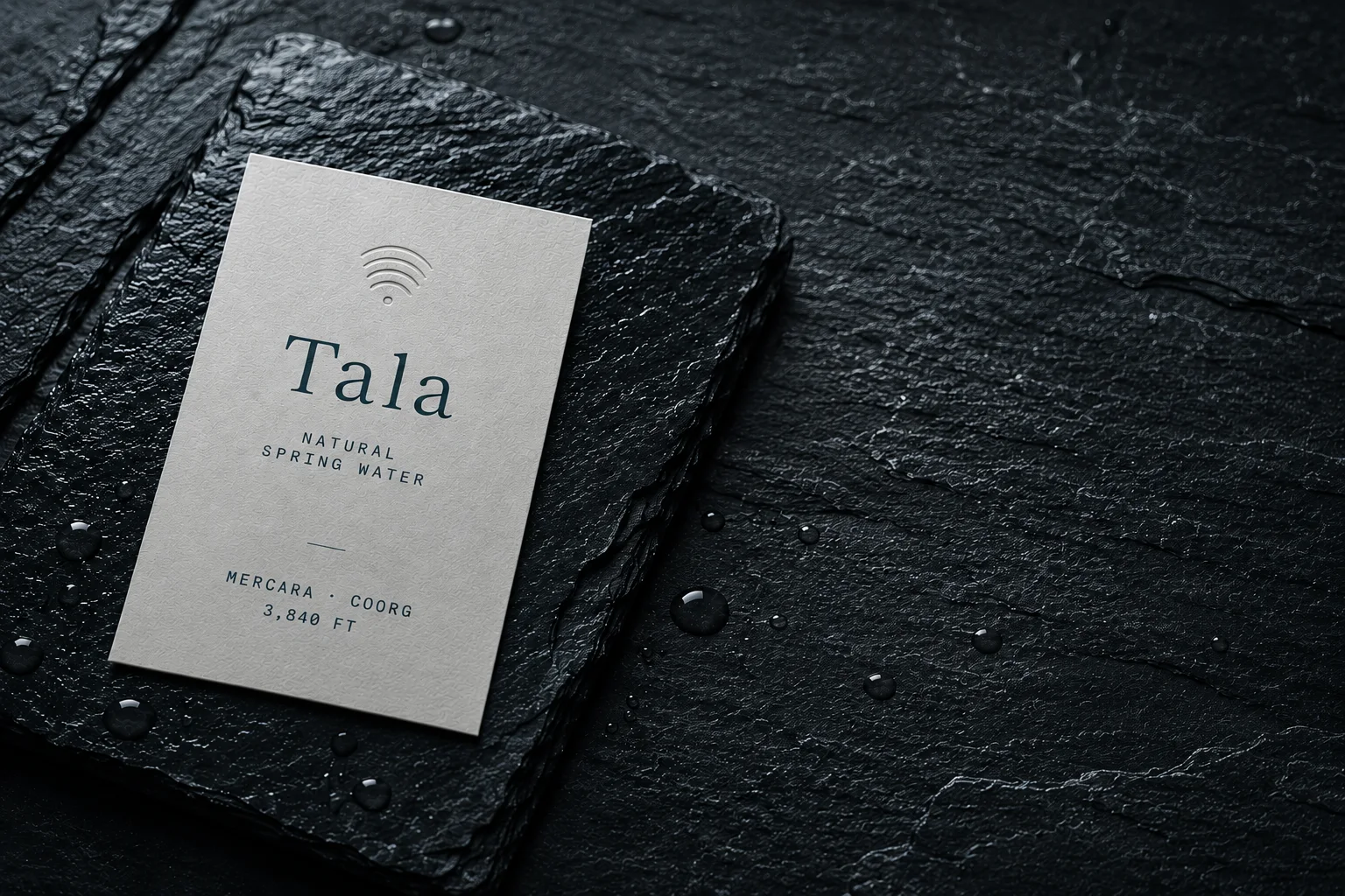 The Tála label, embossed, resting on wet slate